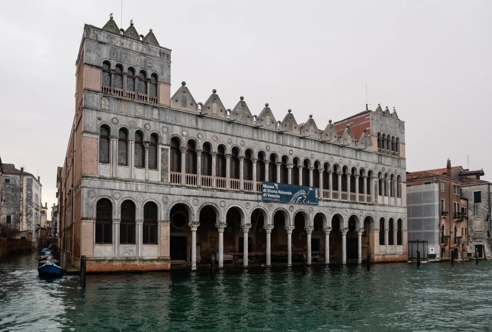 Museo di Storia Naturale di Venezia