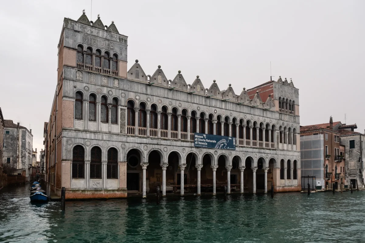 Museo di Storia Naturale di Venezia