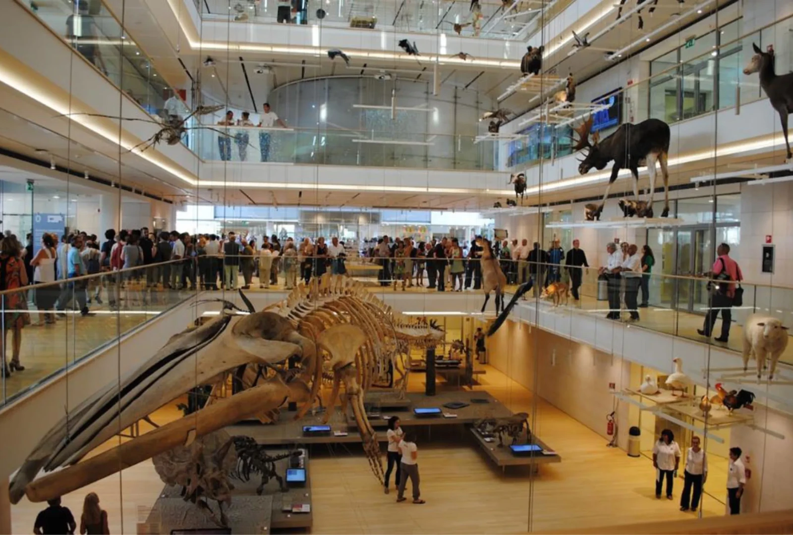 Museo Nazionale della Scienza e della Tecnologia