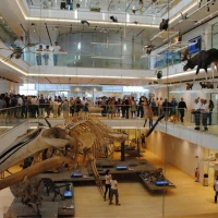 Museo Nazionale della Scienza e della Tecnologia